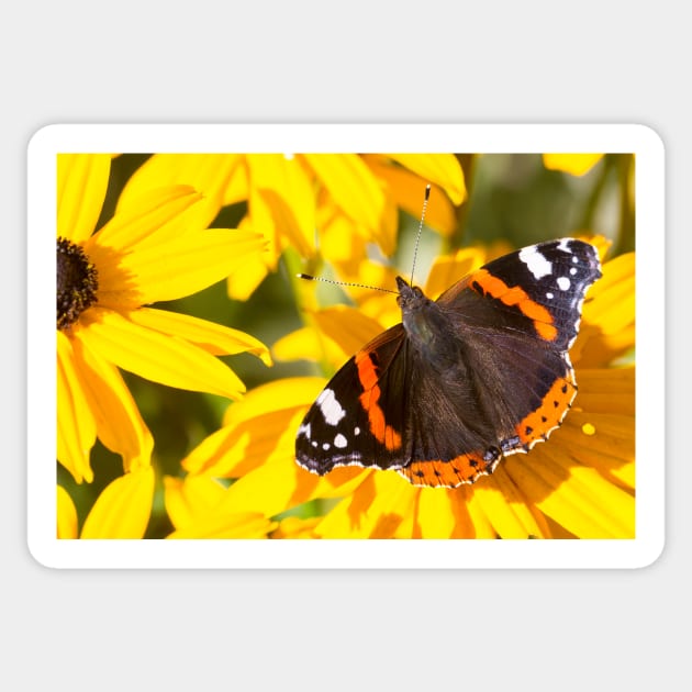 Red Admiral; Yellow Flower Sticker by Violaman